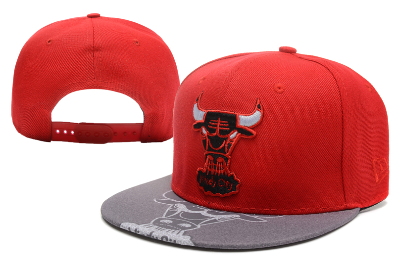 NBA Chicago Bulls NE Snapback Hat #311